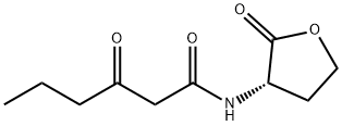 143537-62-6，  N-3-氧-己酰高丝氨酸内酯  N-(BETA-KETOCAPROYL)-DL-HOMOSERINE LACTONE