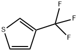 86093-77-8  3-(三氟甲基)噻吩 3-(TRIFLUOROMETHYL)THIOPHENE