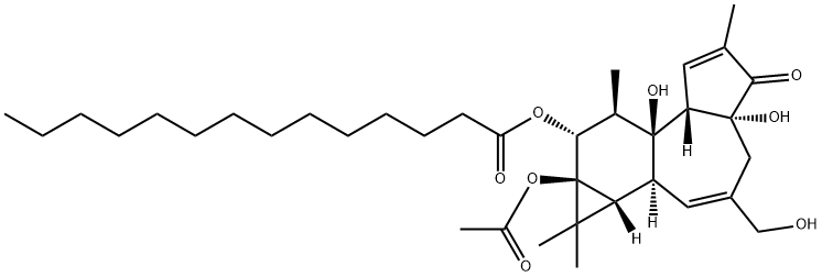 16561-29-8佛波醇12-十四酸酯13-乙酸酯PHORBOL 12-MYRISTATE 13-ACETATE