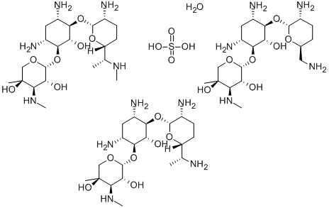 1405-41-0硫酸庆大霉素Gentamycin sulfate