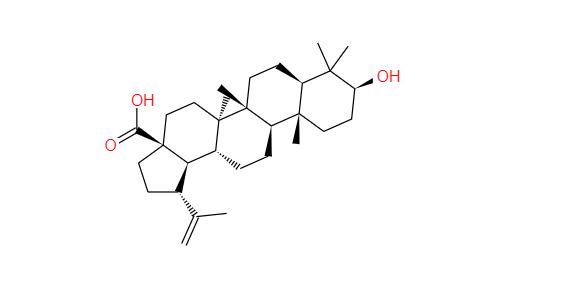 CAS：472-15-1,白桦酯酸