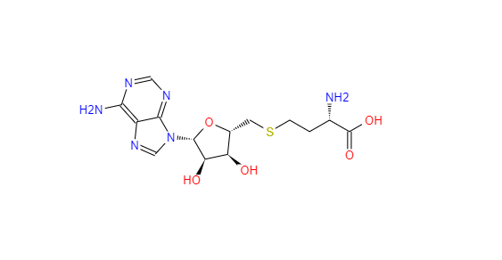 CAS：979-92-0,S-(5’-腺苷)-L-高半胱氨酸