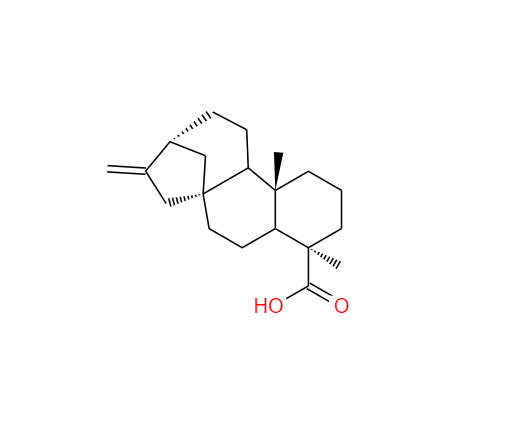 CAS：6730-83-2,异贝壳杉烯酸