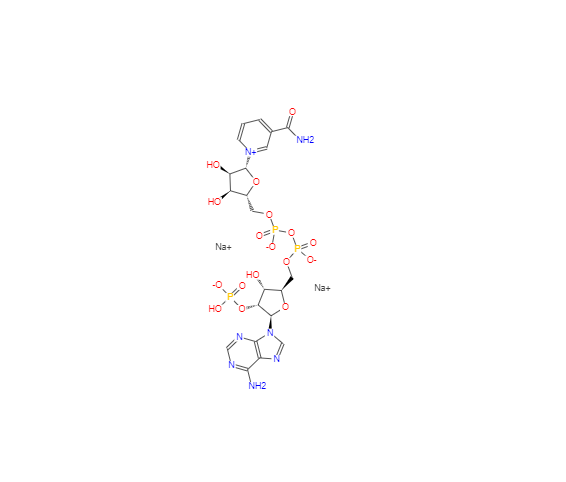 CAS： 24292-60-2, β-烟酰胺腺嘌呤二核苷酸磷二钠盐