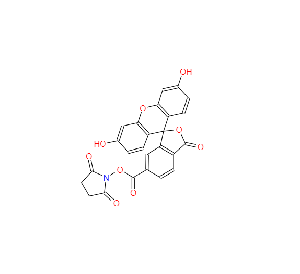 CAS：92557-81-8,6-羧基荧光素琥珀酰亚胺酯