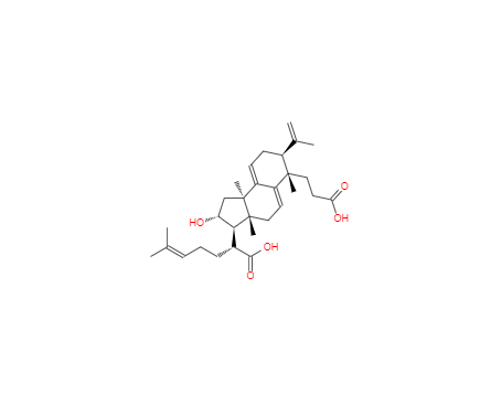CAS：137551-39-4,茯苓酸B