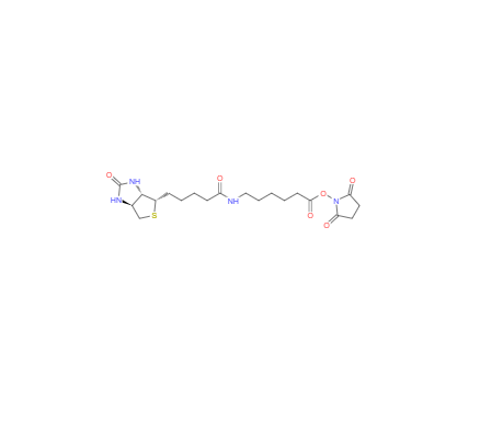 CAS：72040-63-2，生物素酰胺己酸 N-羟基琥珀酰亚胺酯