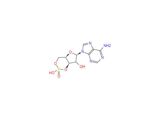 CAS：60-92-4，环磷酸腺苷