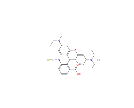 CAS：36877-69-7，罗丹明B异硫氰酸酯