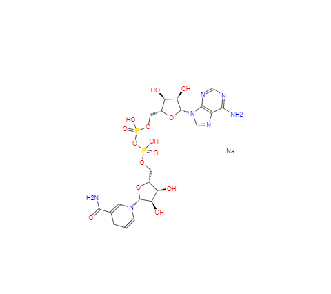 CAS： 606-68-8， β-烟酰胺腺嘌呤二核苷酸二钠盐