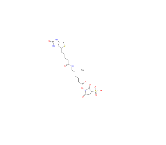 CAS：127062-22-0，生物素酰氨基己酸-3-磺酸基-N-羟基琥珀酰亚胺酯 钠盐