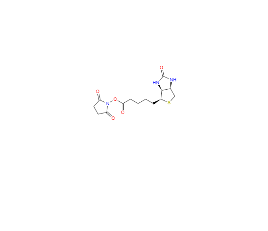 CAS：35013-72-0，(+)生物素-N-琥珀酰亚胺基酯