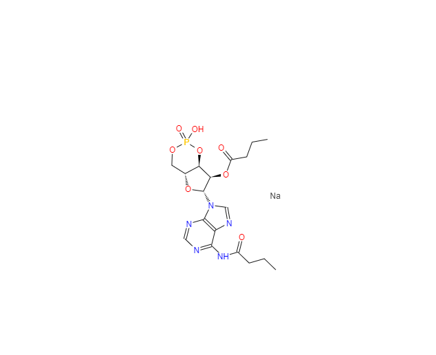 CAS：16980-89-5， 布拉地新钠盐; 二丁酰环磷腺苷钠