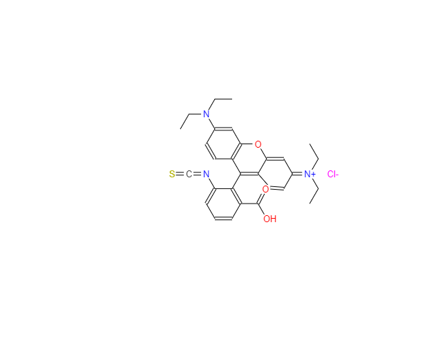 CAS：36877-69-7，罗丹明B异硫氰酸酯